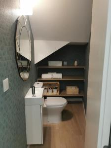 uma casa de banho com um WC branco e um espelho. em Apartamento Alto da Valeta em Arcos de Valdevez