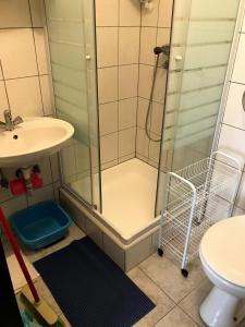 a bathroom with a shower and a sink at Apartment in Lopar with sea view, balcony, air conditioning, Wi-Fi (4607-5) in Lopar