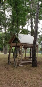 Villaggio Camping Bosco Selva في ألبيروبيلو: طاولة نزهة خشبية في حديقة مع أشجار