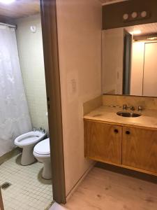 a bathroom with a toilet and a sink and a mirror at LAS LEÑAS - ATENAS - 5 Personas in Las Lenas