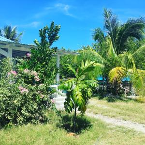 Zahrada ubytování LE FARE BLEU Tiputa Rangiroa
