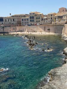 a body of water with a group of seals in it at VICOLO A MARE in Siracusa