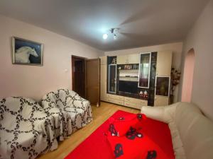 a living room with a couch and a red rug at Apartament Sira in Sulina