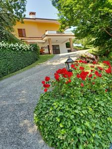 a garden of red flowers in front of a building at Villa Luna in San Floriano del Cóllio