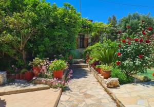 a garden with flowers and plants in pots at Wood & Stone in Kissamos