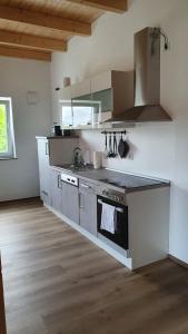 uma cozinha com um lavatório e um fogão forno superior em Ferienapartment bavarian living em Moosinning