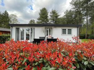 Zahrada ubytování Luxe vakantiehuis in het bos