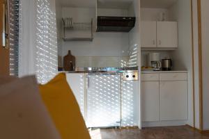Kuchyň nebo kuchyňský kout v ubytování Residence Greymold