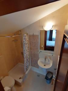 a bathroom with a sink and a toilet and a shower at Pensiunea ANCA in Statiunea Borsa