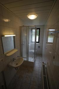 a bathroom with a shower and a sink at Brandthausen - Ferienwohnungen Familie Brandt in Heidersdorf +11 photos