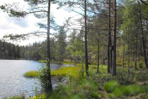 vistas a un lago con árboles y agua en Cozy Lodge in Värmland Sweden en Filipstad