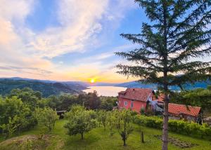 Příroda nedaleko apartmánu