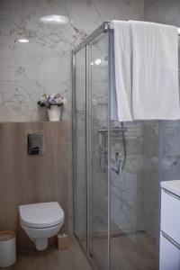La salle de bains est pourvue d'une douche, de toilettes et d'un lavabo. dans l'établissement Oaza w Centrum, à Białystok