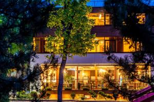 帕兰加Kerpė Hotel & SPA的前面有一棵树的建筑物