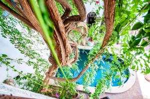 un grupo de plantas en macetas sobre una mesa en Hotel & Spa Riad Dar El Aila, en Marrakech