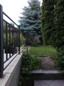 Zahrada ubytování Apartman Ráchegy
