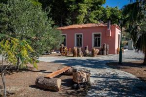Zahrada ubytování Arsinoe - Cosy guesthouse- + 20 fotografií