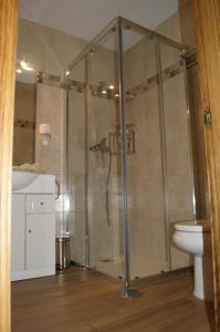 a shower stall in a bathroom with a toilet at Apartamentos Camin De Pelayo in Las Rozas +26 photos
