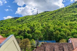 Kalnų panorama iš apartamentų arba bendras kalnų vaizdas