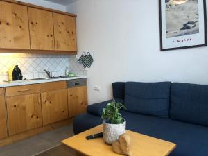 Kuchyň nebo kuchyňský kout v ubytování Appartements Wilma