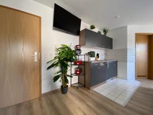 eine Küche mit einer Pflanze in der Mitte eines Raumes in der Unterkunft Ferienwohnung Am Jacobsweg Wohnung 1 in Wurzen