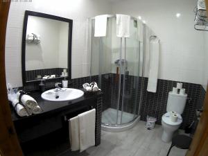 a bathroom with a shower and a sink and a toilet at Apartamentos Turisticos Mirayuste in Guadalupe
