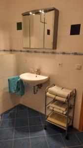 a bathroom with a sink and a mirror at Schönermarker Pferdeparadies in Niederlandin