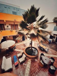 een uitzicht over een palmboom op een binnenplaats bij Casa Mara Dakar in Dakar