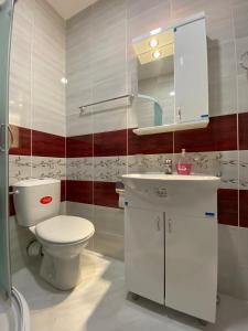 Koupelna v ubytování Apartmani JOVANOVIC Sokobanja + 34 fotografií