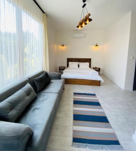 a living room with a couch and a bed at Moya Urla Butik Otel in Izmir