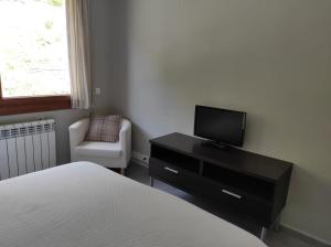 a bedroom with a bed and a tv and a chair at Incles Principat in Canillo