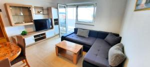 Televízia a/alebo spoločenská miestnosť v ubytovaní Apartment Miroslav