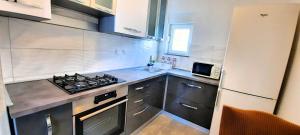 Kuchyňa alebo kuchynka v ubytovaní Apartment Miroslav