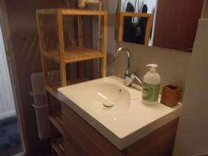a bathroom sink with a bottle of soap on it at Appartement les Myrtilles à Super Besse au pied des pistes in Super Besse +4 photos