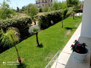 un giardino con palme e piante su un balcone di B&B AMURI RANNI ad Avola