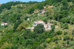 una vista aérea de una casa en una colina en Driùs edodè - b&b affittacamere, en Torraca