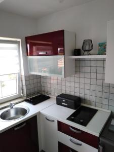 Kuchyň nebo kuchyňský kout v ubytování Apartments Ana