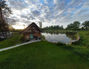 a small cabin in the grass next to a lake at KRASNE POLE Gospodarstwo Rolne in Krasnopol