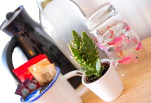 a plant in a glass jar sitting on a table at Dog and Whistle Pub in Hertford