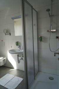 y baño con ducha y lavamanos. en Budget Boarding House Weidenberg, en Weidenberg