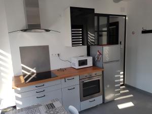 y cocina con encimera, microondas y nevera. en Joli appartement avec vue sur la Loire, en Amboise