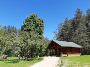 a log cabin in the woods with a dirt road at Pušų Šlamesy in Vilnius