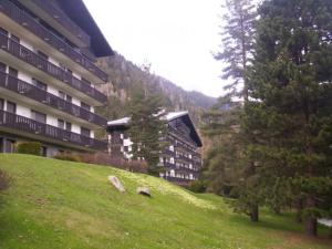 duży budynek na wzgórzu obok trawiastego pola w obiekcie Studio Chamonix-Mont-Blanc, 1 pièce, 3 personnes - FR-1-517-27 w Chamonix-Mont-Blanc