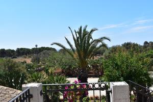 Un balcón o terraza en Agriturismo Il Ranch