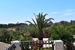 a garden with a palm tree and flowers at Agriturismo Il Ranch in Portopalo