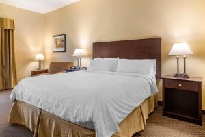 Comfort Inn & Suites Dahlonega University Area في داهلونغا: سرير كبير في غرفة الفندق مع مصباحين