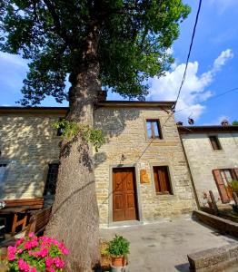 a large tree in front of a building at CASINA LA QUERCIA in Santa Sofia