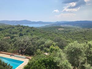 a villa with a swimming pool in the middle of a forest at Villa L'Arbousière in Porto-Vecchio