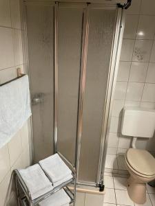 łazienka z prysznicem i toaletą w obiekcie Röhrshof w mieście Bispingen