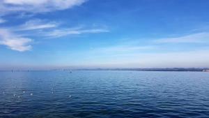 a large body of water with birds in the water at 7 Heaven in Eichenberg